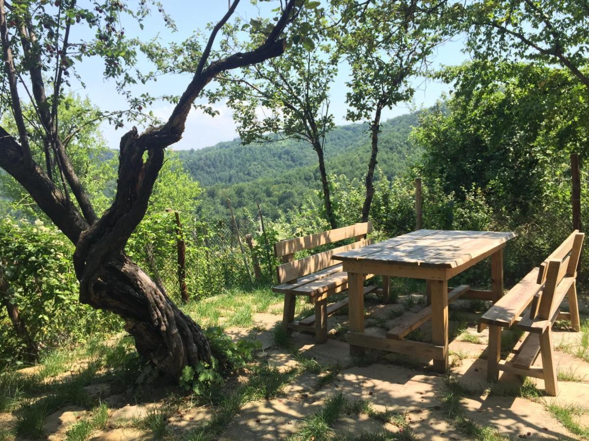 Арт Комплекс Горски Дом - Трявна Buitenkant foto