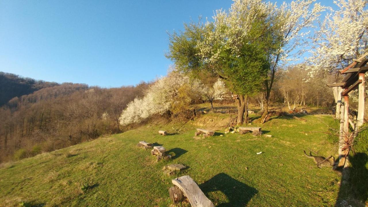 Арт Комплекс Горски Дом - Трявна Buitenkant foto